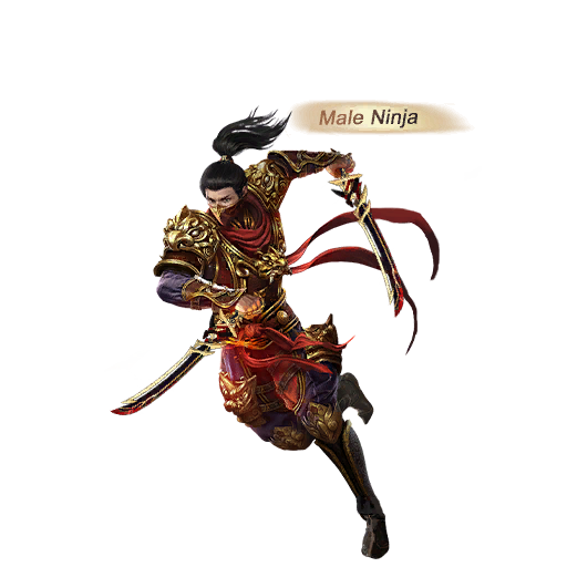 Ninja